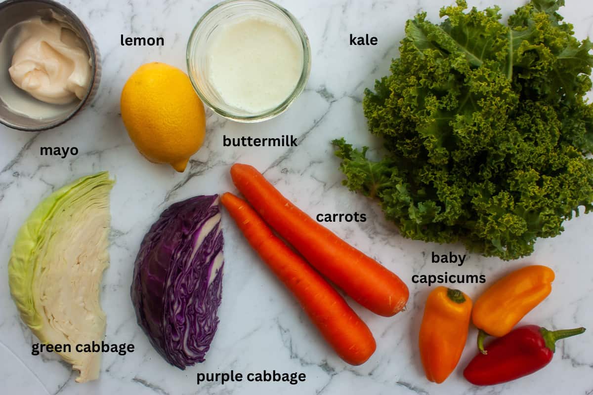 Ingredients needed to make coleslaw with labels.