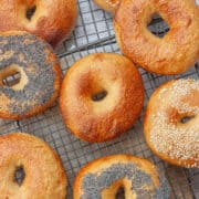 Top view of bagels laid out on a cooling rack.