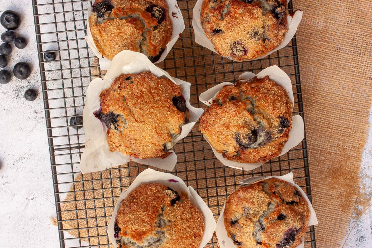 Sugar-crusted blueberry muffins cooling on a rack.