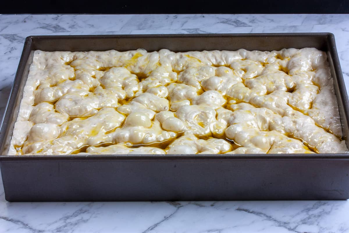 Dimpled focaccia dough with pockets contained olive oil in a baking tin, ready for the oven.