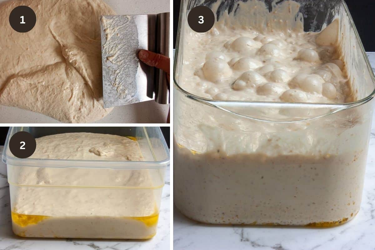 Collage showing focaccia dough being kneaded on a marble work surface, and before and after long fridge rise in a large plastic container.