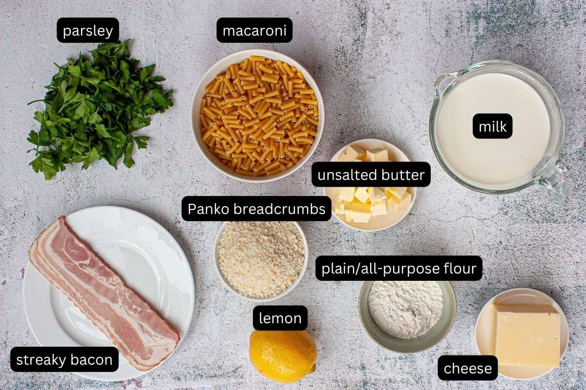 Annotated ingredients required to make macaroni cheese.