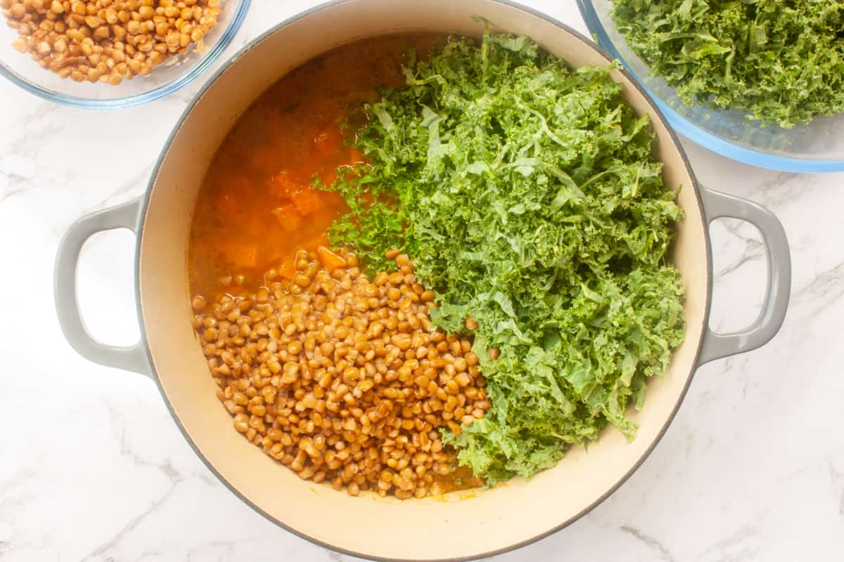 Sweet potato stew in a pot with freshly shredded kale and lentils tipped in and not stirred through yet.